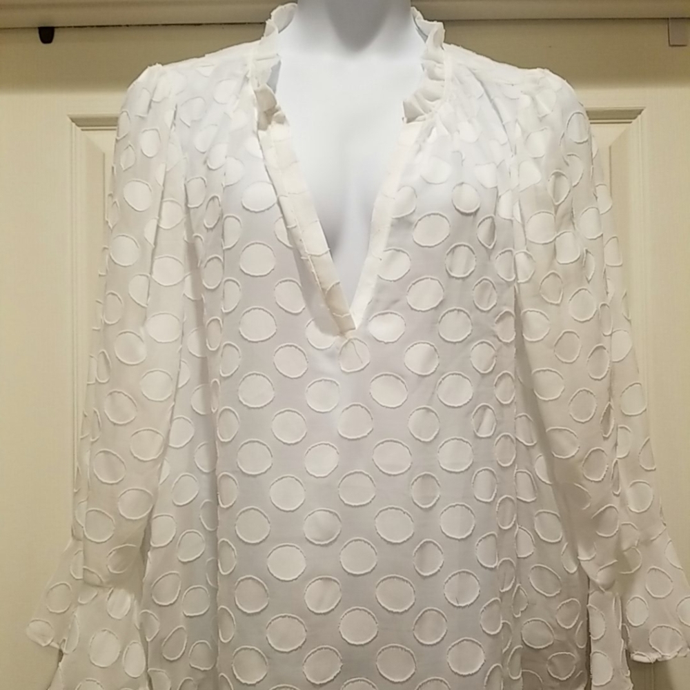 Womens Plus Size White Sheer Blouse with White Polka Dots